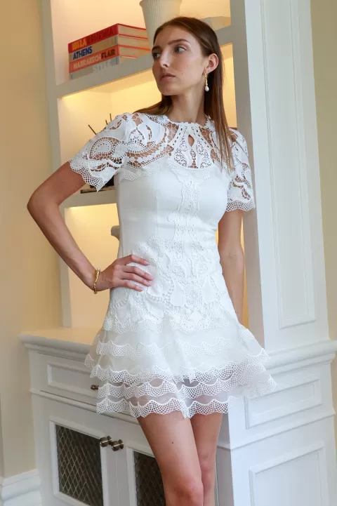 SIMKHAI Paislee Guipure Lace Mini Dress